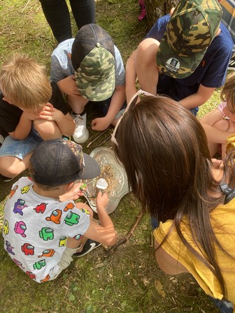 Drop in Forest school